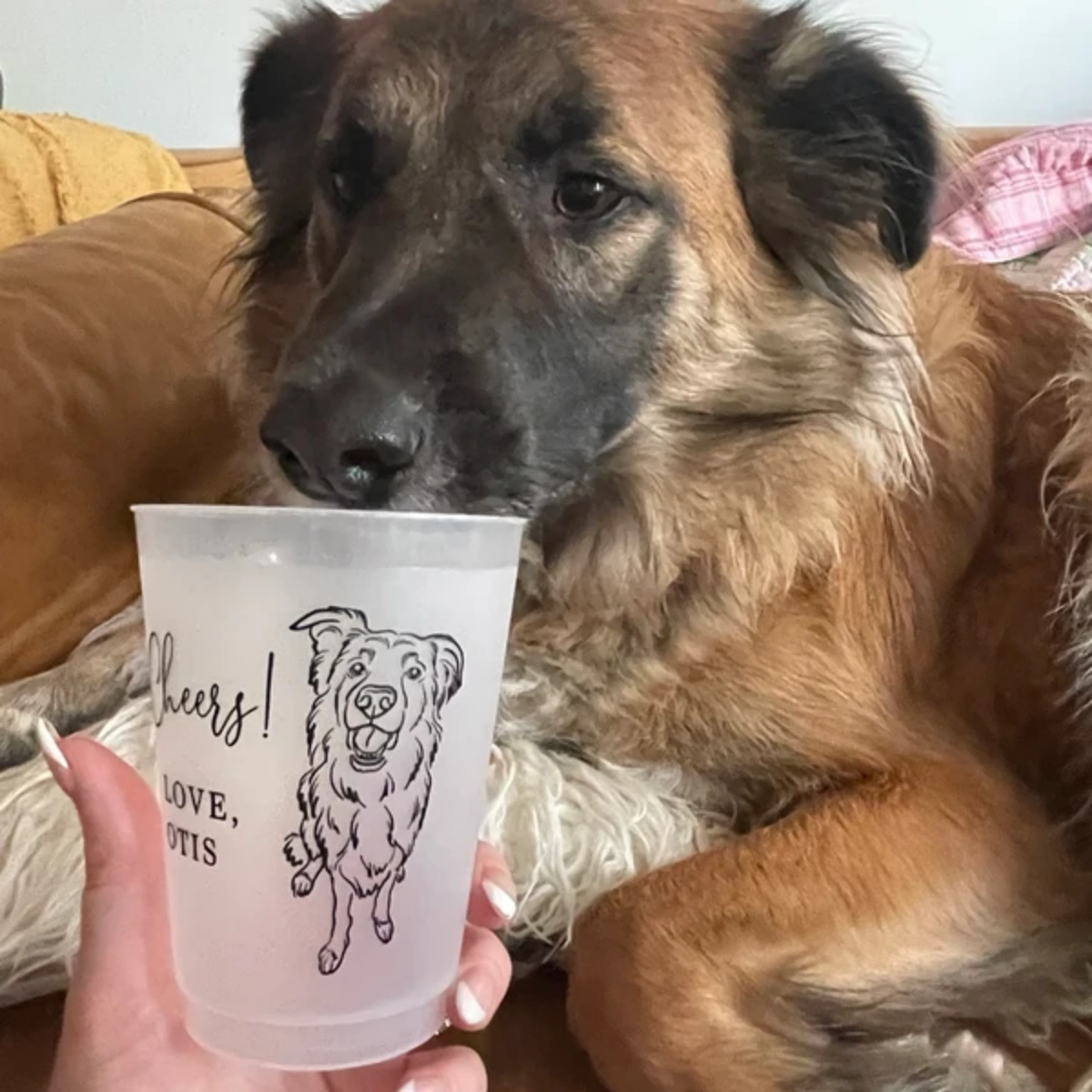 แก้วพลาสติกฝ้าแบบกำหนดเองสำหรั - Plastic Cup 50Pcs บทวิจารณ์และราคา